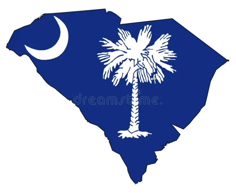 south-carolina-outline-map-flag-state-inset-97881116